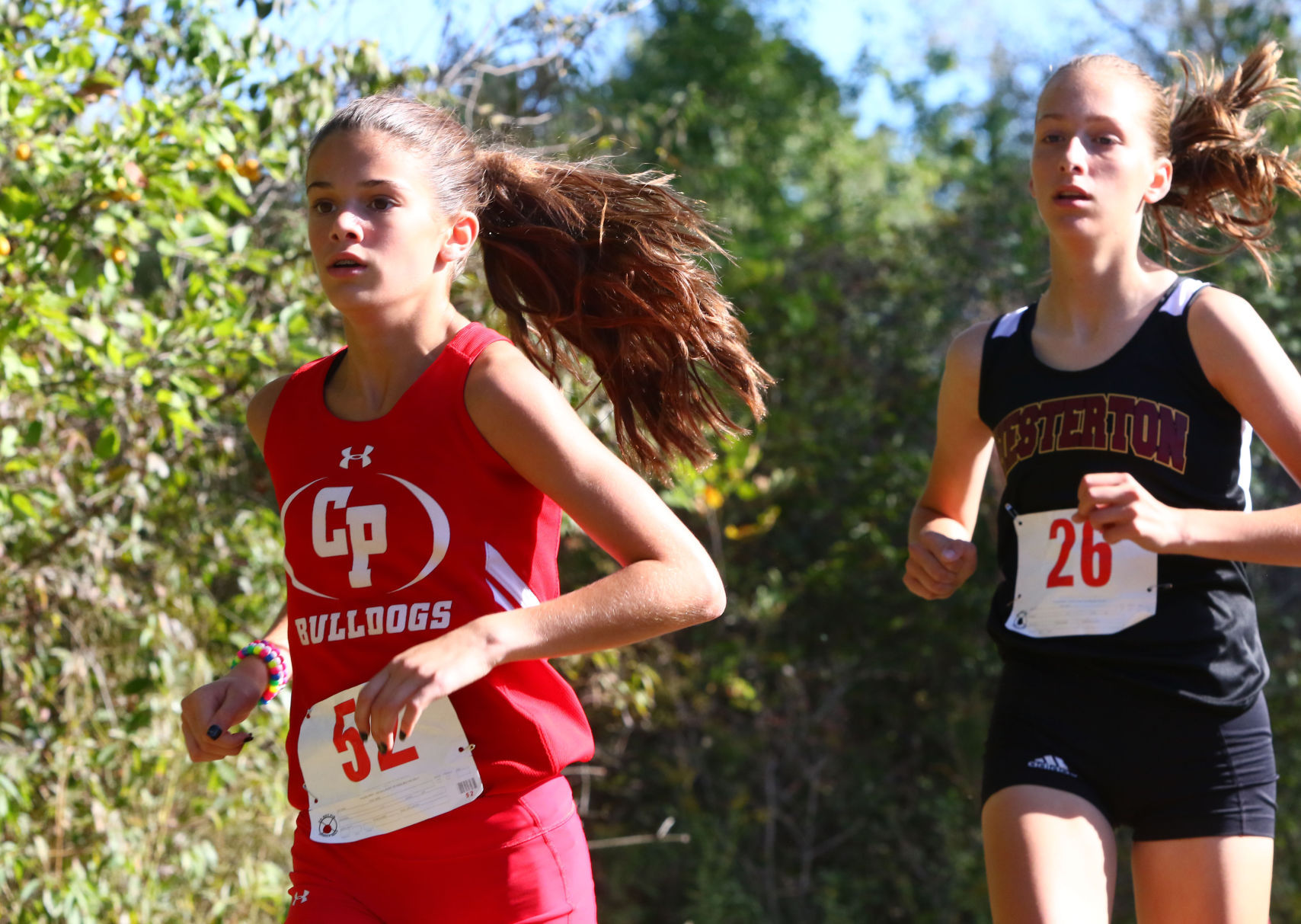 Gallery: Duneland Athletic Conference cross country meet